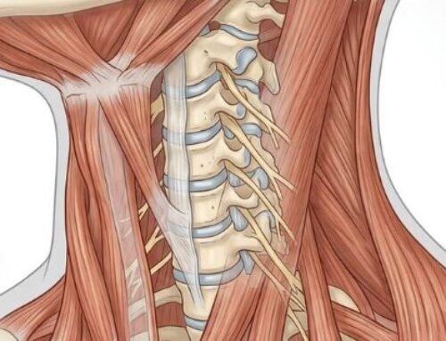 Dolore al collo e alle spalle da stress e computer – cause, rimedi ed esercizi
